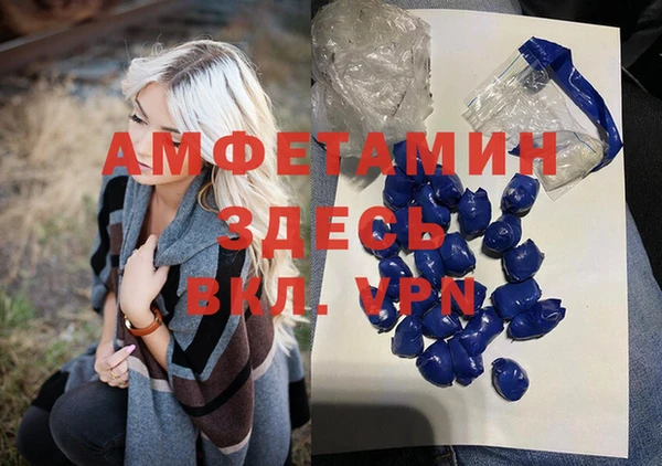 прущие грибы Заводоуковск