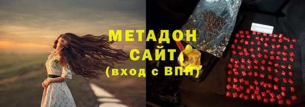прущие грибы Заводоуковск