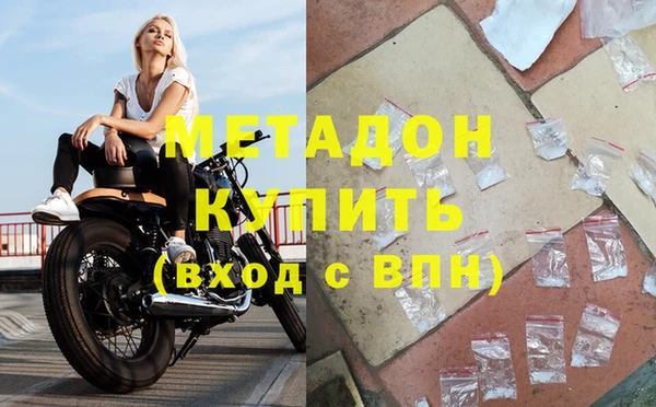 прущие грибы Заводоуковск