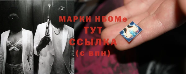 прущие грибы Заводоуковск