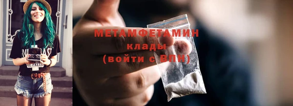 прущие грибы Заводоуковск
