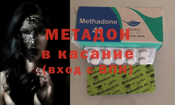 прущие грибы Заводоуковск