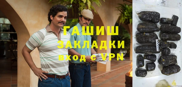 прущие грибы Заводоуковск