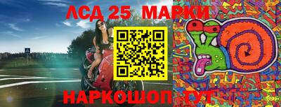 бошки Новодвинск