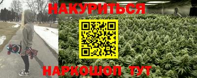 MDMA Новозыбков