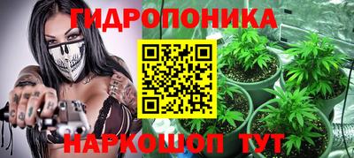 бошки Новодвинск