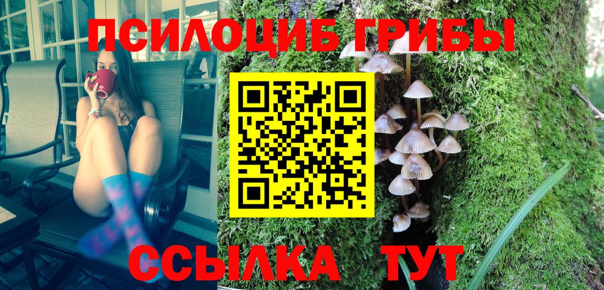 Реутов  Галлюциногенные грибы Magic Shrooms  где купить наркоту  Вход с VPN 