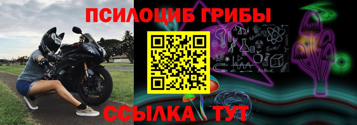 Псилоцибиновые грибы мицелий Реутов